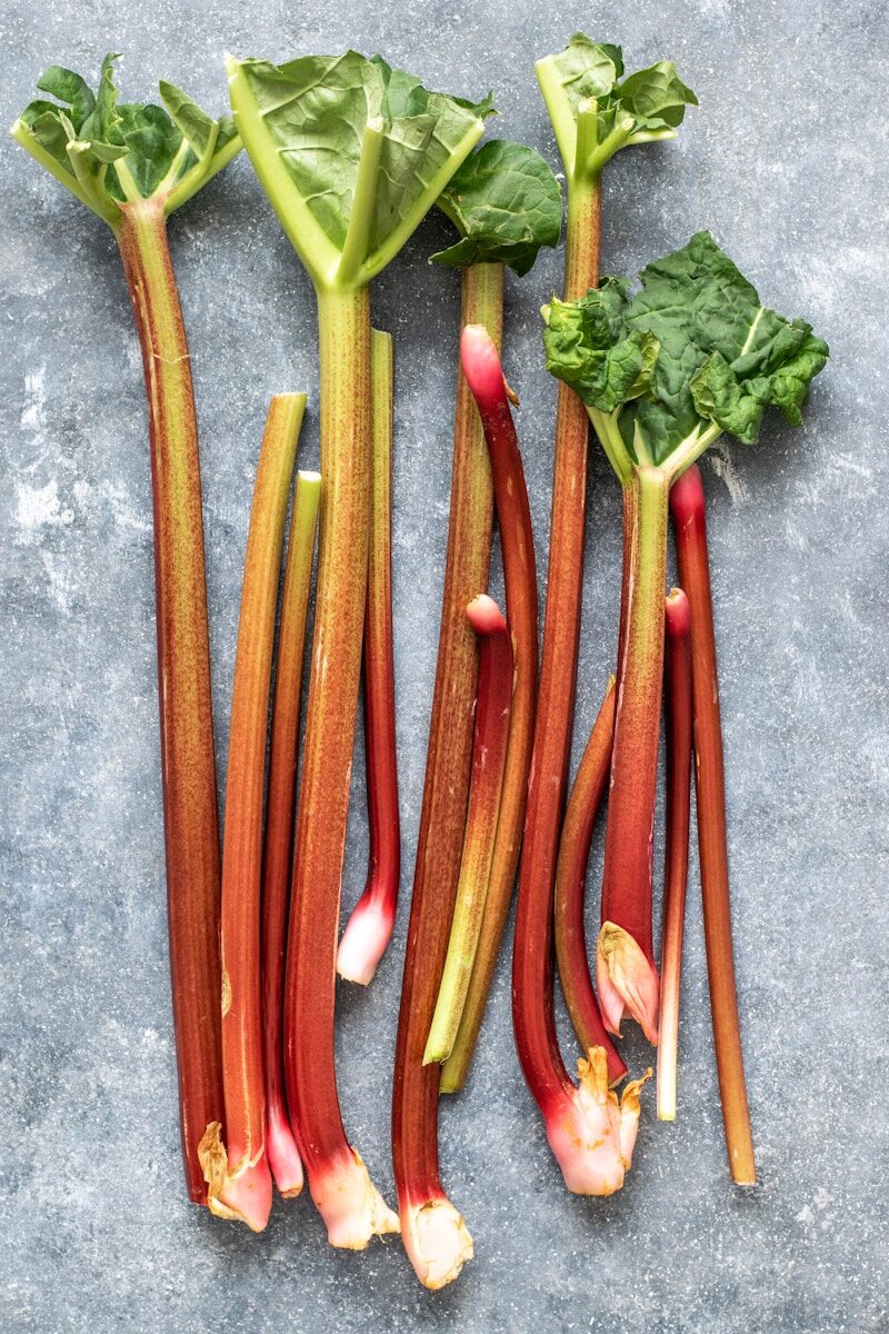 Rhubarbe