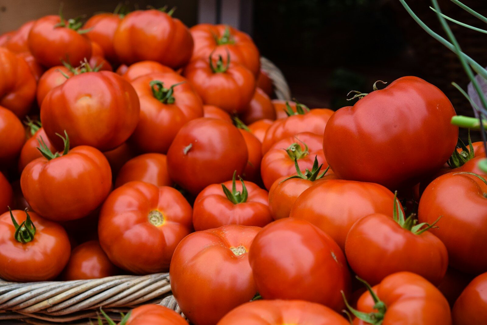 Tomate