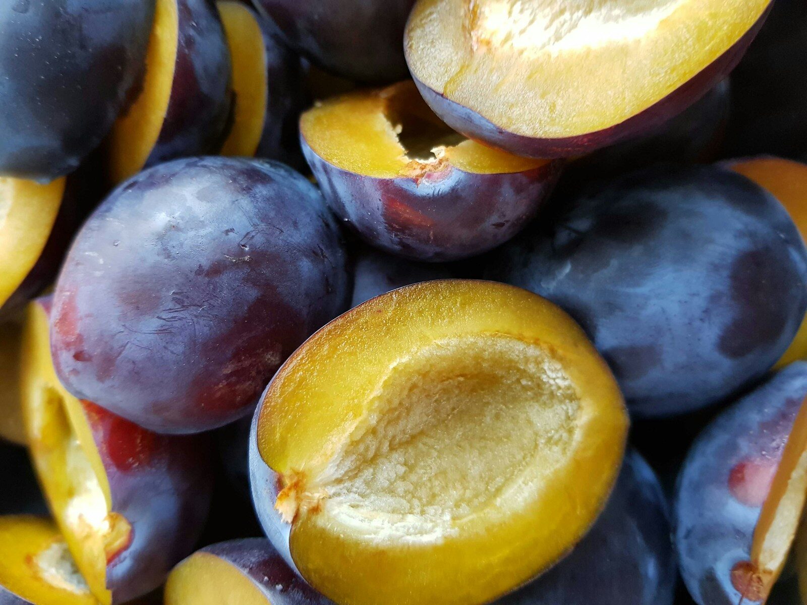 Pruneau / Prune