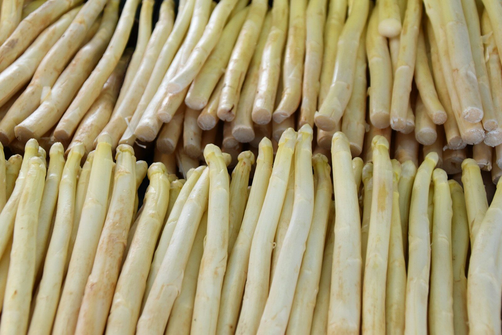 Asperge blanche