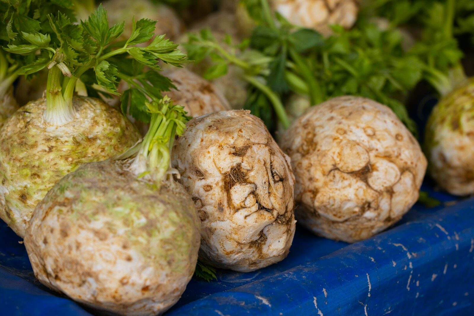 a bunch of vegetables that are on a table