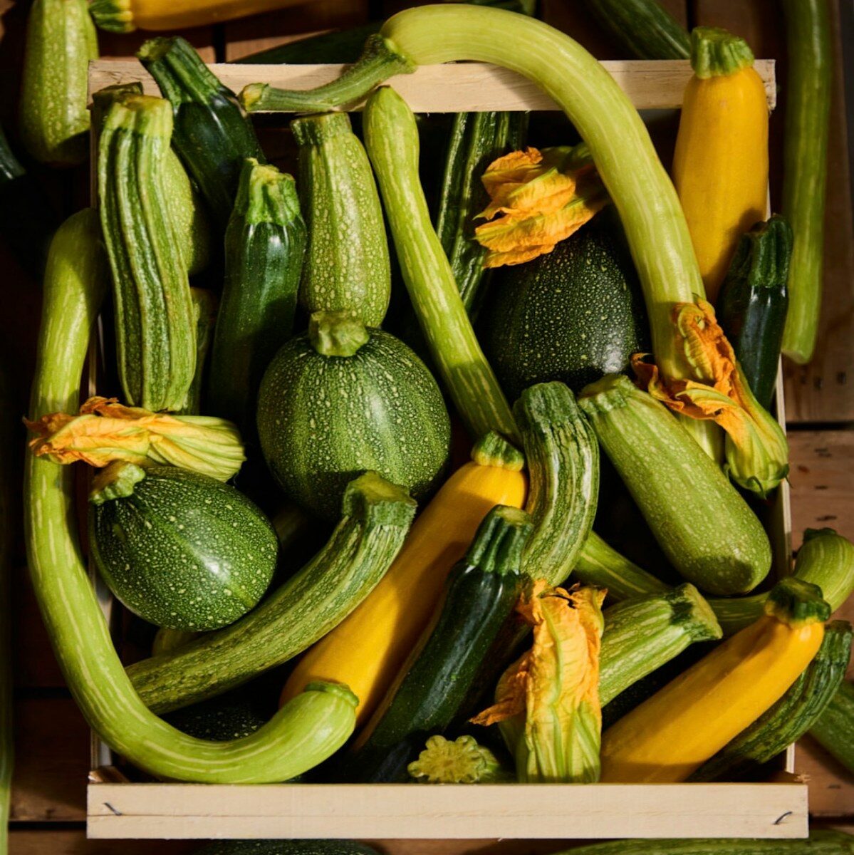 A wooden crate filled with fresh green and yellow zucchinis.